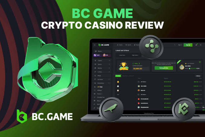 Exploring the BC.Game Platform A Revolutionary Online Gaming Experience Exploring the BC.Game Platform A Revolutionary Online Gaming Experience